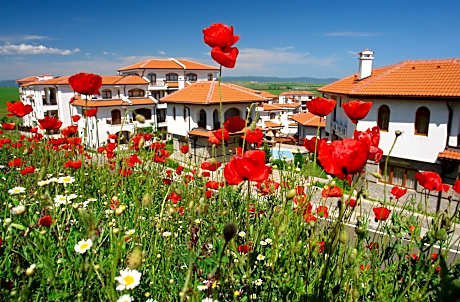 The Vineyards Boutique Hotel & SPA