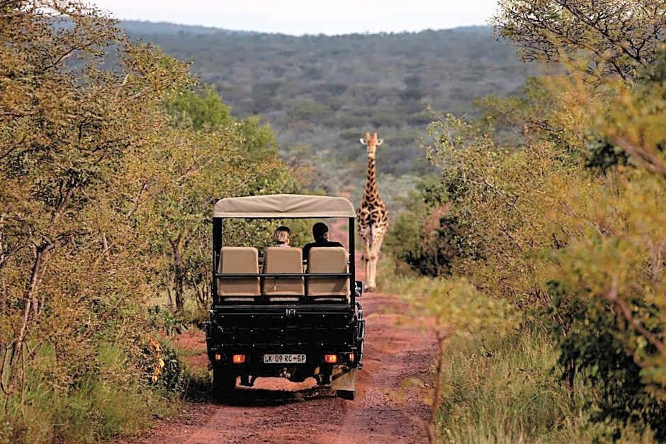 Elephants Crossing