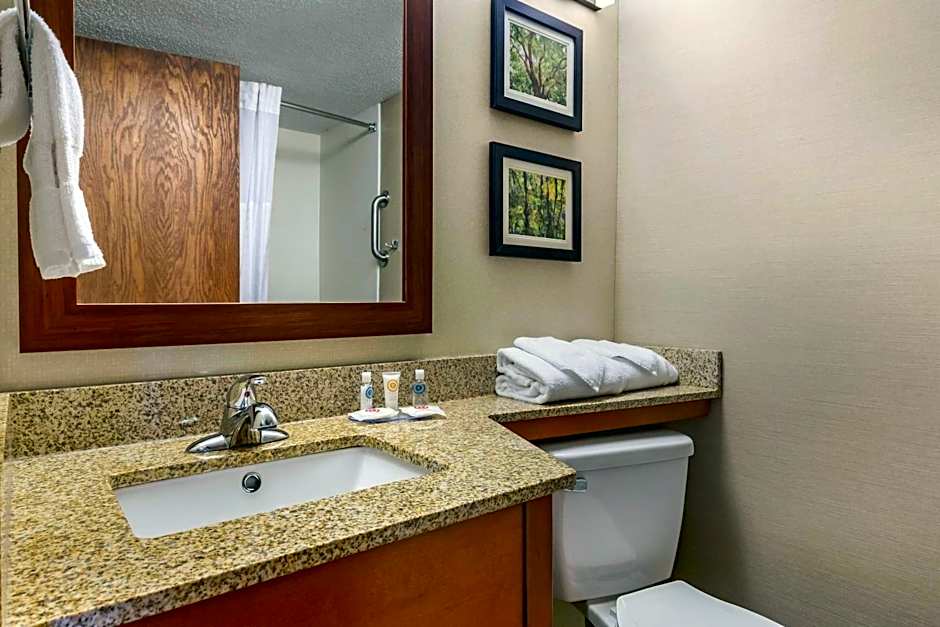 Comfort Inn & Suites near Danville Mall