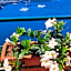 Giardino 21 Marzo