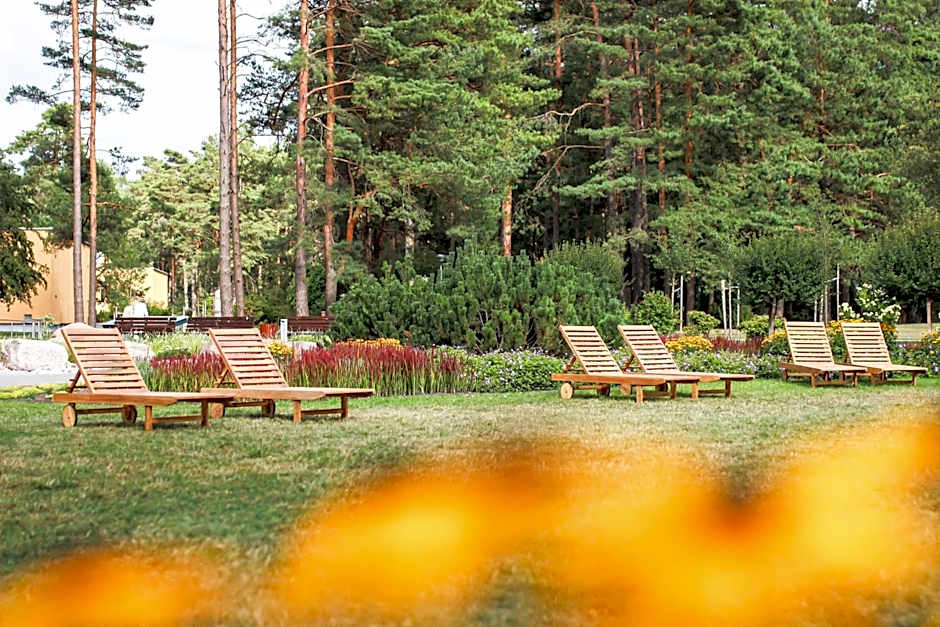 Medical SPA "Eglės sanatorija" Standard Druskininkai