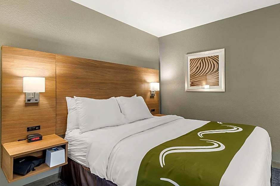 Quality Inn Downtown - near Market Square
