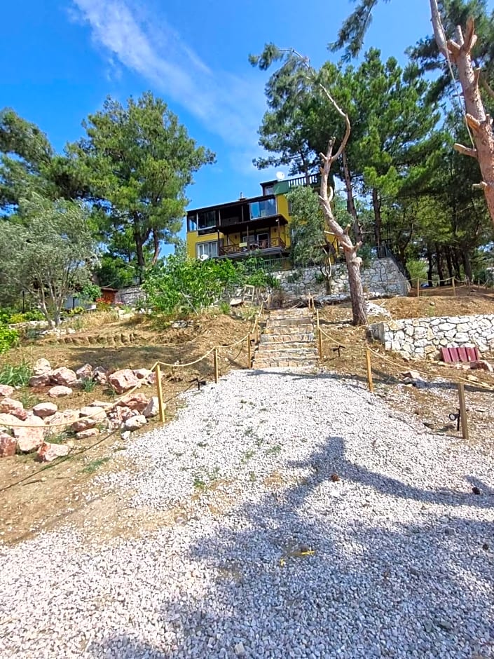 Sarı Konak Butik Otel