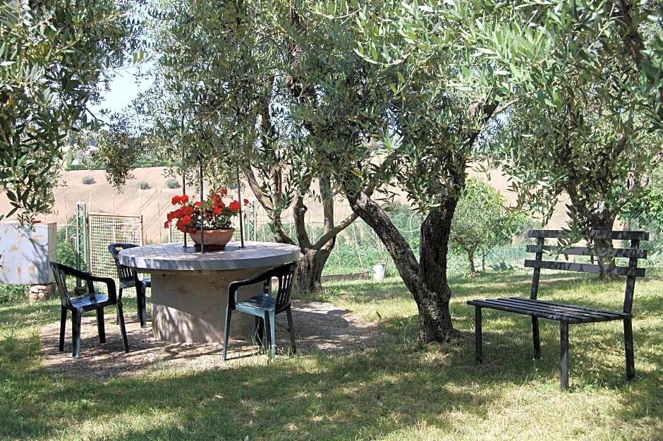 Il Giardino Degli Ulivi