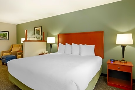 1 King Bed, Non-Smoking, High Speed Internet Access, Microwave And Refrigerator, Wet Bar, Coffee Mak