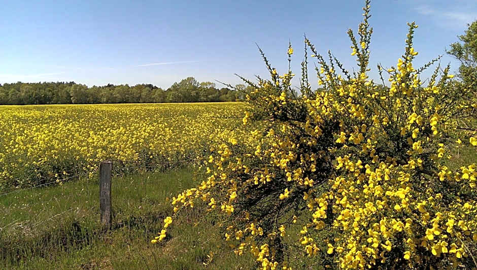Jugendtours-Feriendorf Ummanz