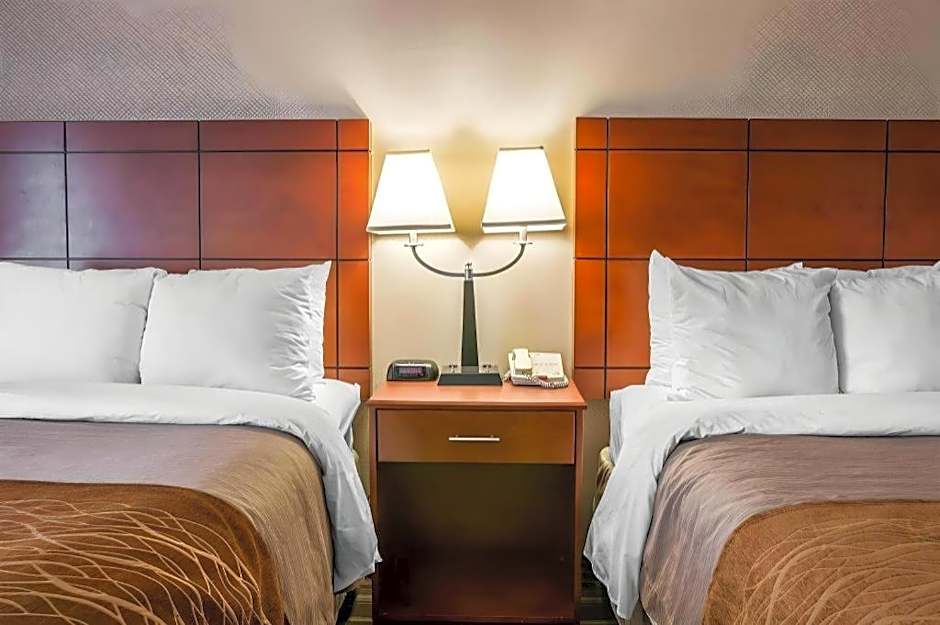 Comfort Inn & Suites University South
