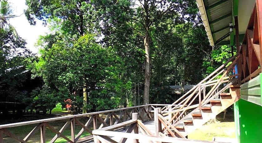 Sukau Greenview Bed and Breakfast