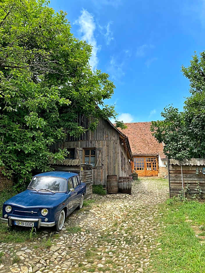 Viscri 32 - White Barn and Blue House
