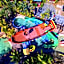 NRMA South West Rocks Holiday Park