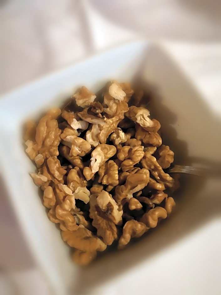 Gästehaus und Fewo Lamm Garni