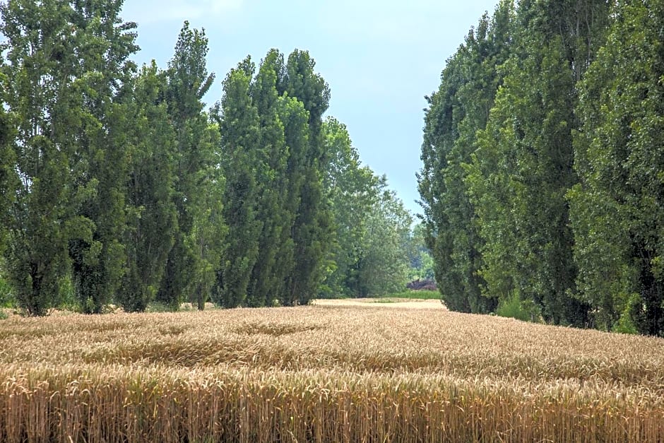 Agriturismo Il Torrione