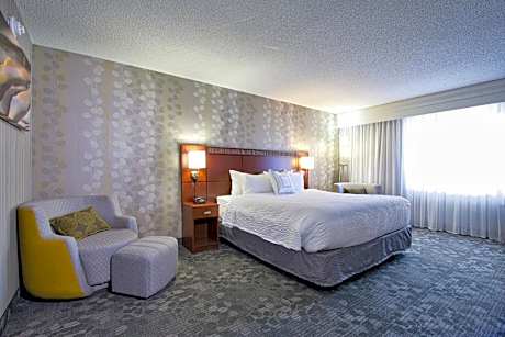 King Suite with Sofa Bed
