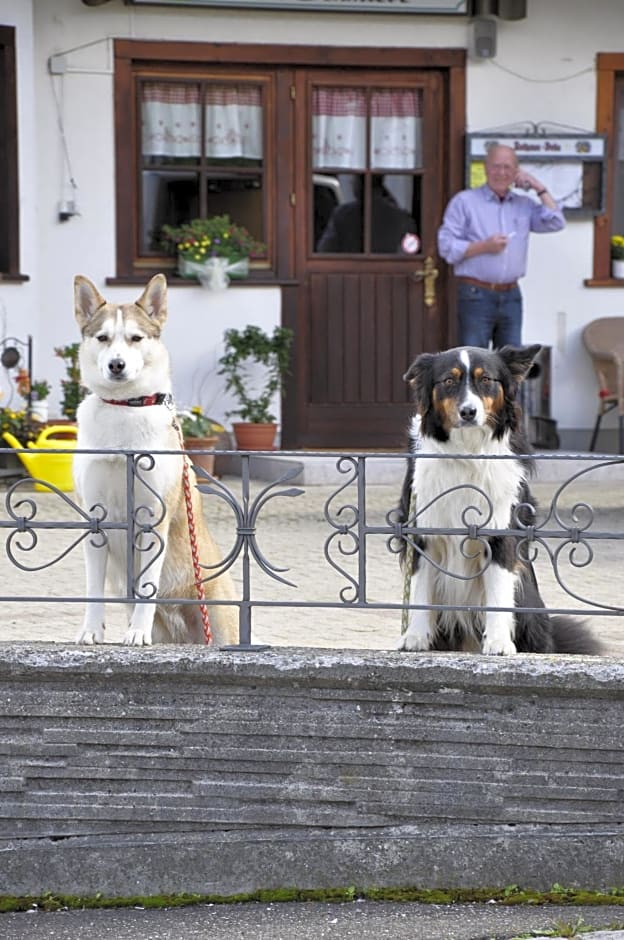 Pension Gasthaus Zur Schmiede