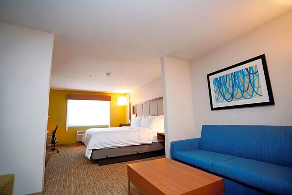 Holiday Inn Express Hotel & Suites Carlsbad By IHG