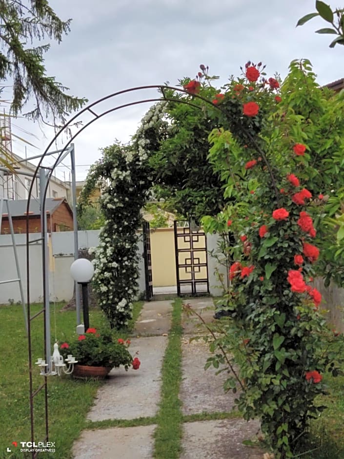 Villa Carol Appartamento e B&B