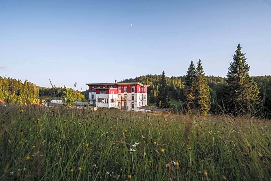 Das Waldhotel - Genuss & Wellness am Notschreipass