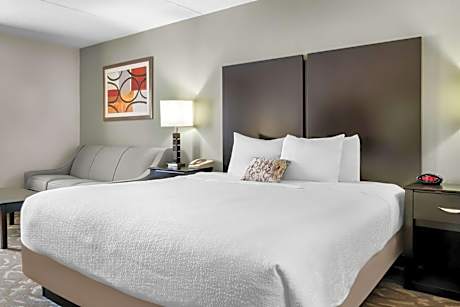 King Room with Sofa Bed