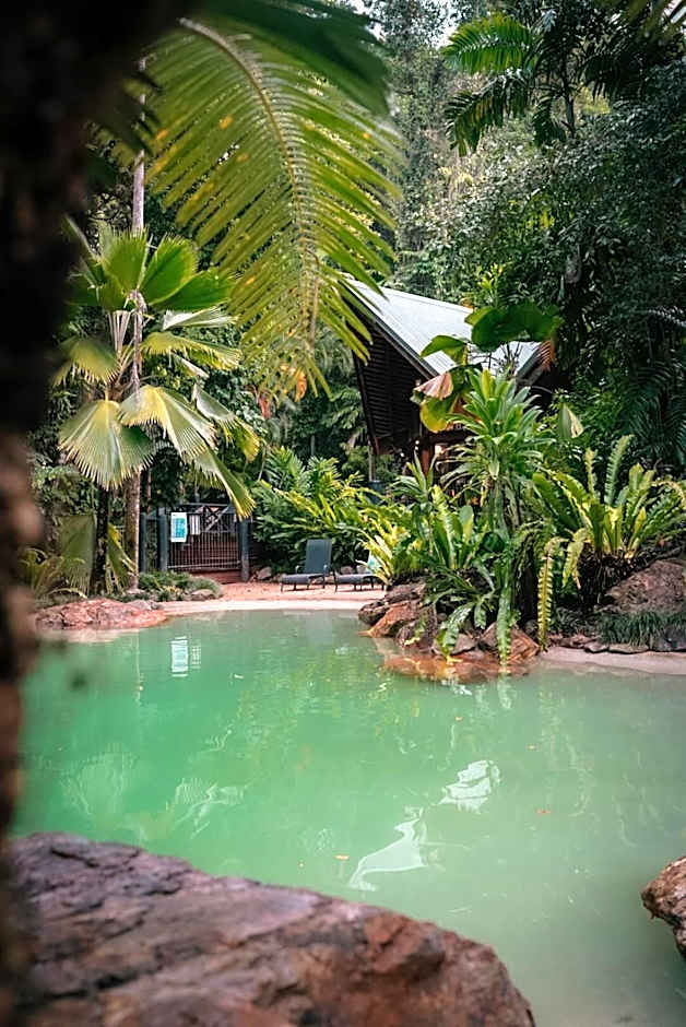 Ferntree Rainforest Lodge