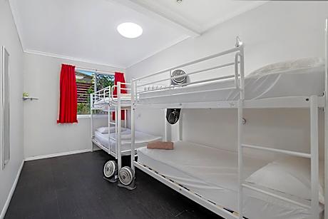 Bed in 6-Bed Dormitory Room