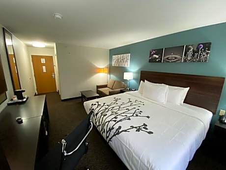 Superior King Room - Non Smoking