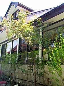 Pension Mori
