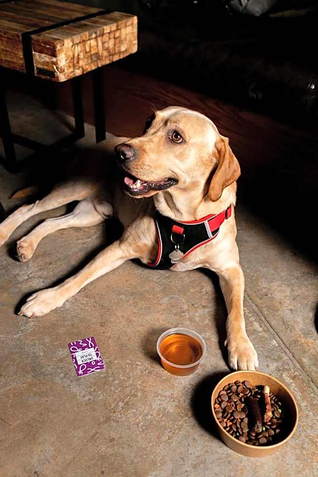 Moxy by Marriott London Heathrow Airport