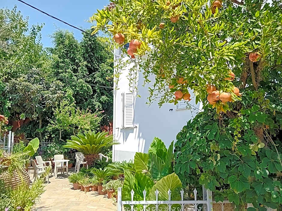 Olympia Koumanakou Rooms Δωμάτια Ολυμπίας Κουμανάκου