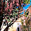 Residence Ortigia