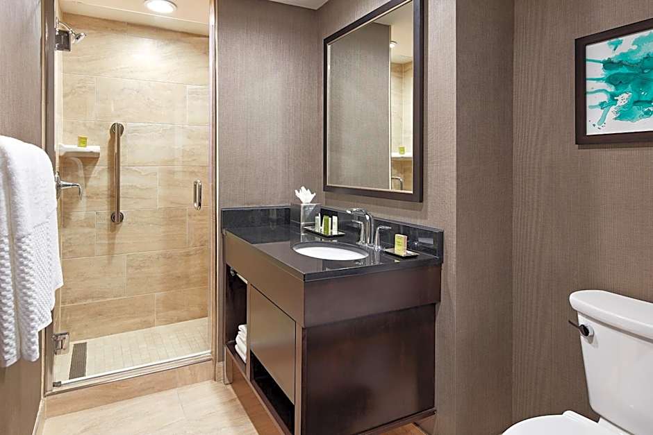 Hilton Houston Plaza/Medical Center