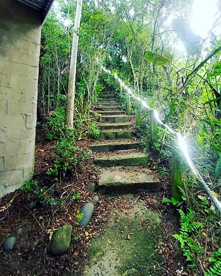 In The Green Backpackers