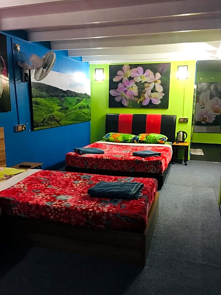 Lily Haven Hotel C-1
