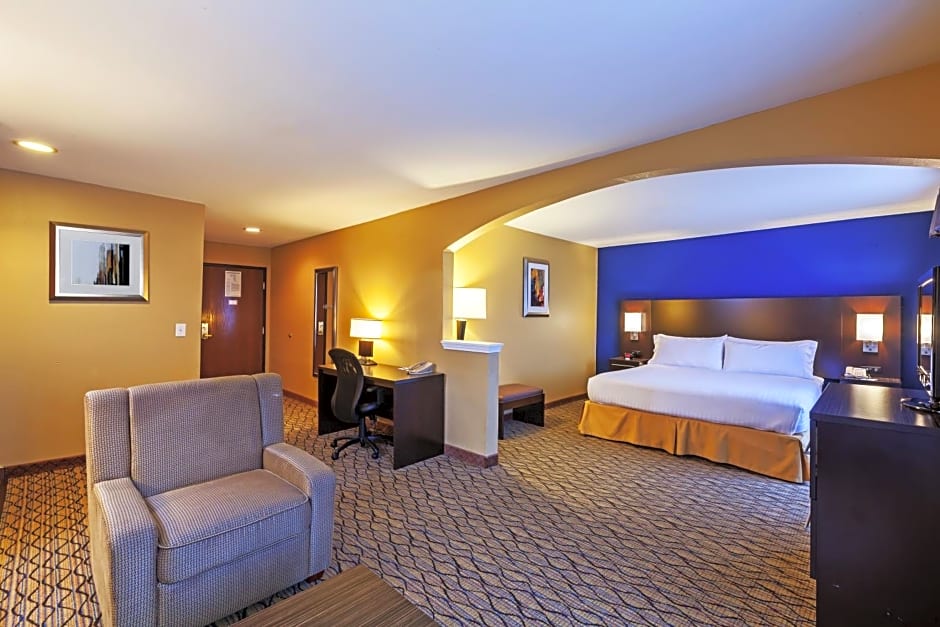 Holiday Inn Express Hotel & Suites Houston-Downtown Convention Center