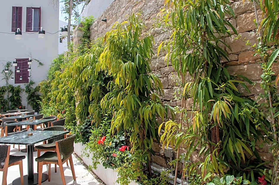 S Paul City Hotel