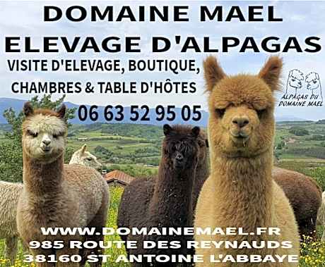 ALPAGAS DU DOMAINE MAEL