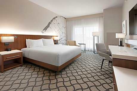 Guest room, 1 King, High floor