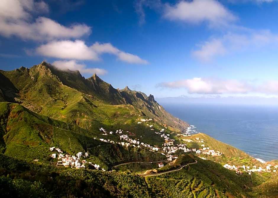 FERGUS Puerto de la Cruz