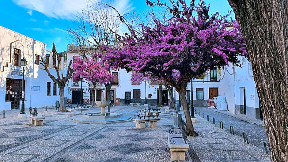 CASA MORENA MiA APARTAMENTOS