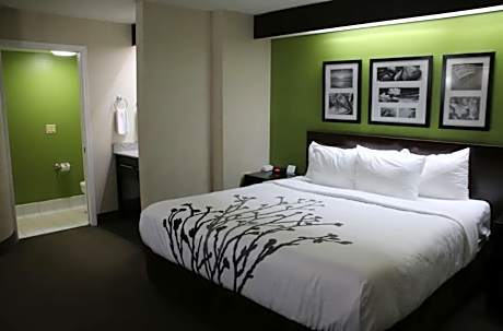 1 King Bed Nonsmoking