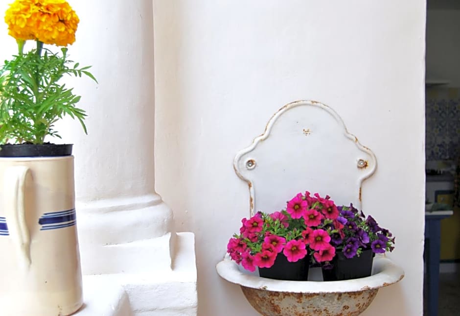 DF bed and breakfast