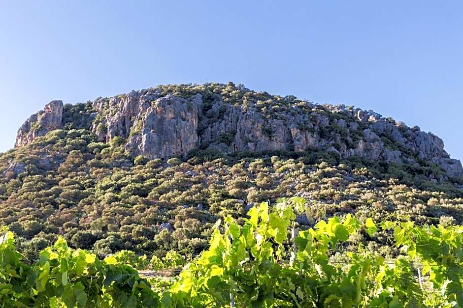 Hotel Sa Tanca E Bore