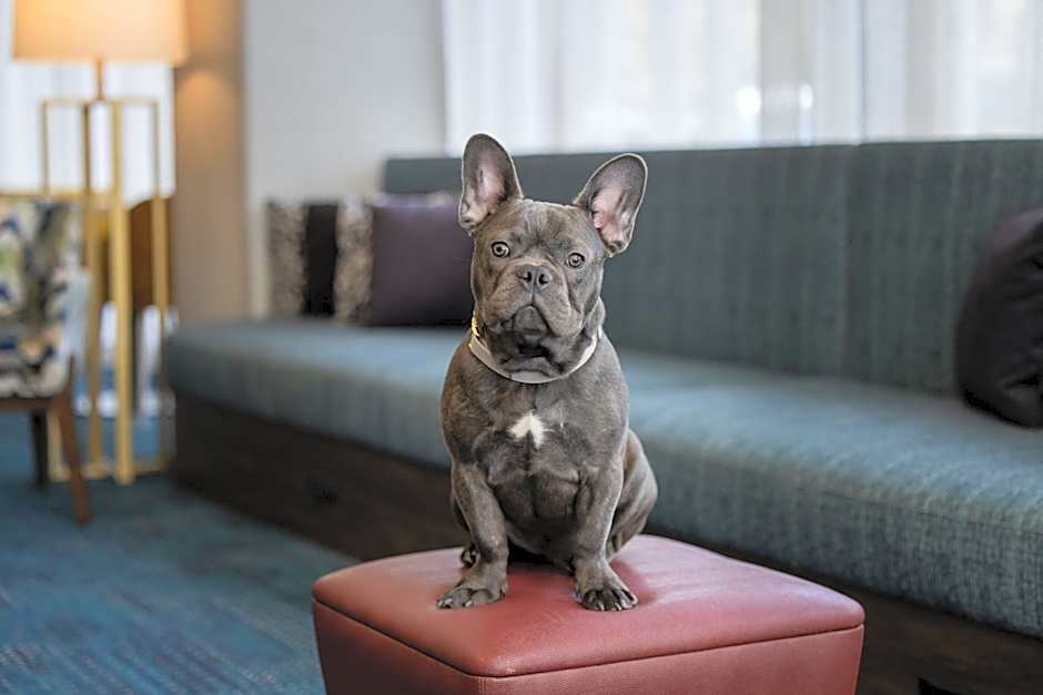 Hampton Inn By Hilton Cleveland-Downtown