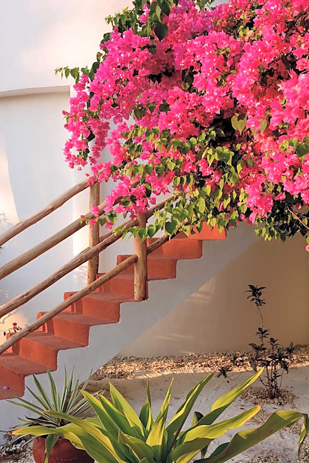 Villa Kiva Boutique Hotel