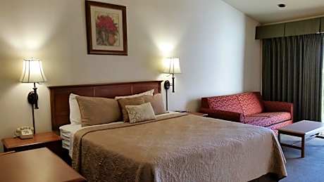 1 King Bed Nonsmoking