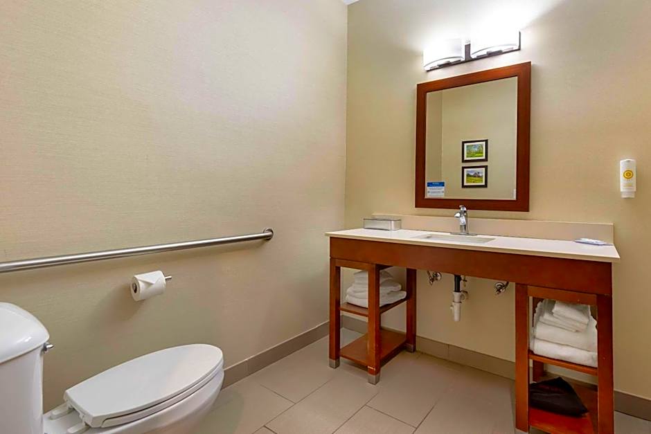 Comfort Suites Cedar Falls