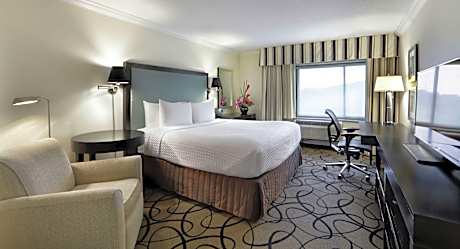 Good Vibes 1 King Bed