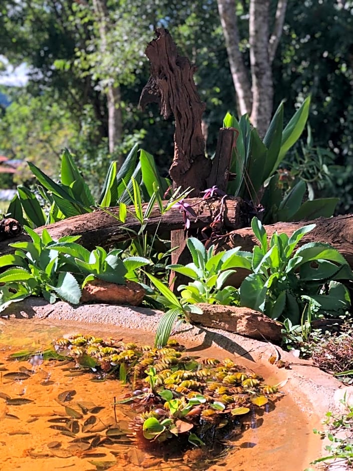 Pousada Casa Ferreira