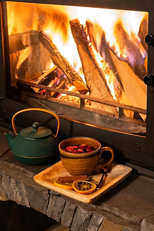 Willa Podhalanka Jacuzzi & sauna - drewniany dom dla 20 osób