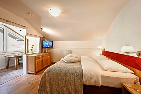 Double Room with Patio