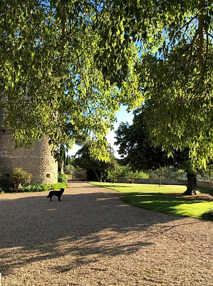 Château de Rousson